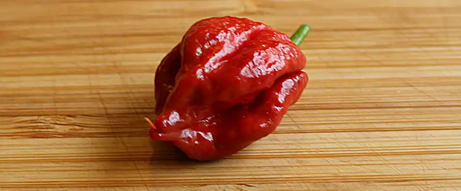 a carolina reaper is a fruit.