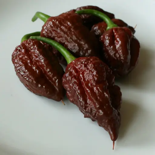 the ripened stage of apocalypse scorpion brown peppers