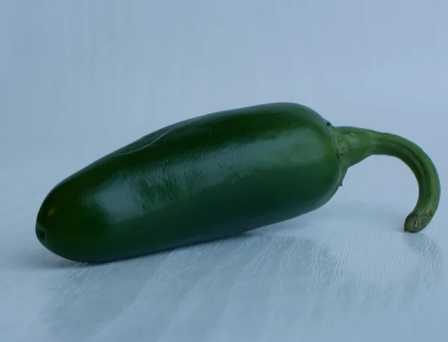 Green jalapeño pepper