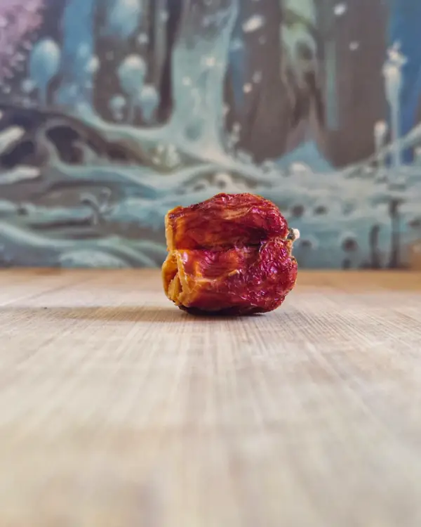 Here is a dried Carolina reaper not going bad.