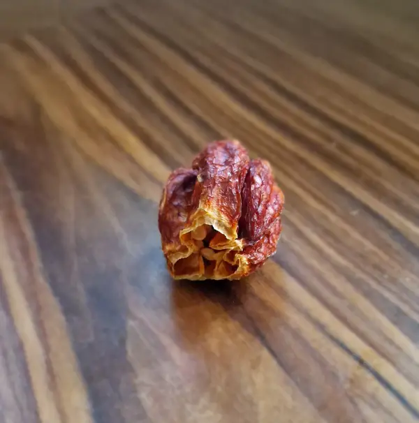 extremly spicy pepper: dried Carolina Reaper