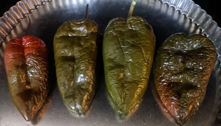 big poblano peppers