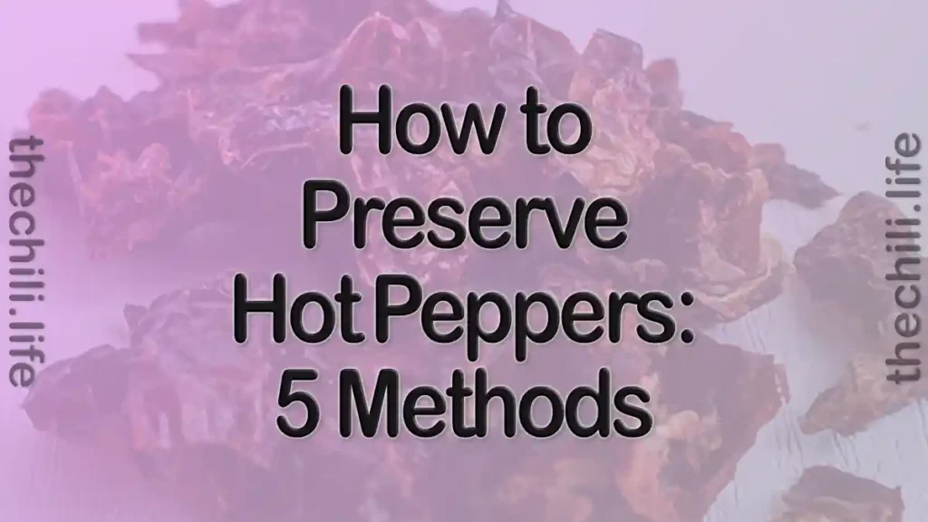 tutorial on conserving your hot peppers