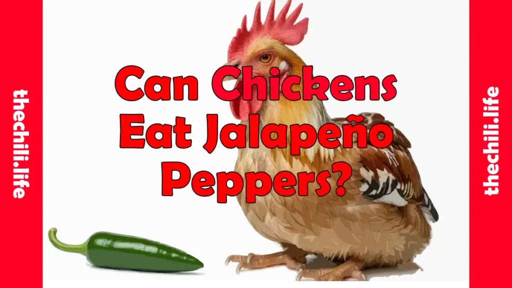 can chicken eat chile peppers tutorial