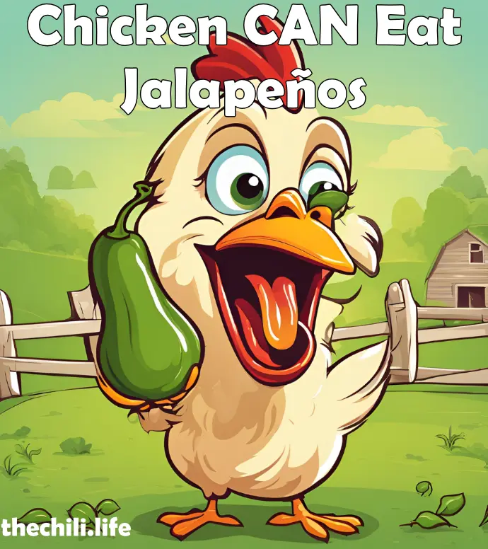 can chickens eat jalapenos - yes!