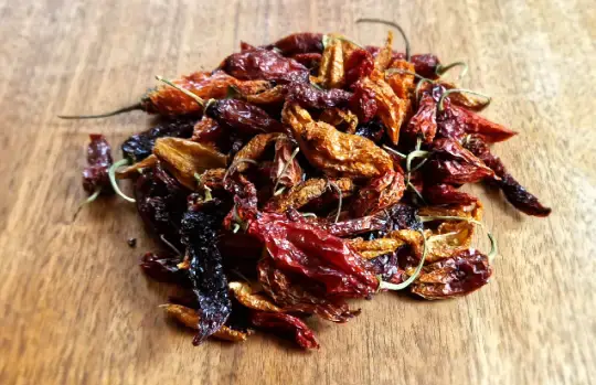 How to Dry Peppers in the Oven: No Need for a Dehydrator!