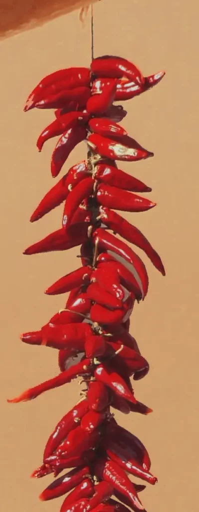 drying chile peppers by hainging them